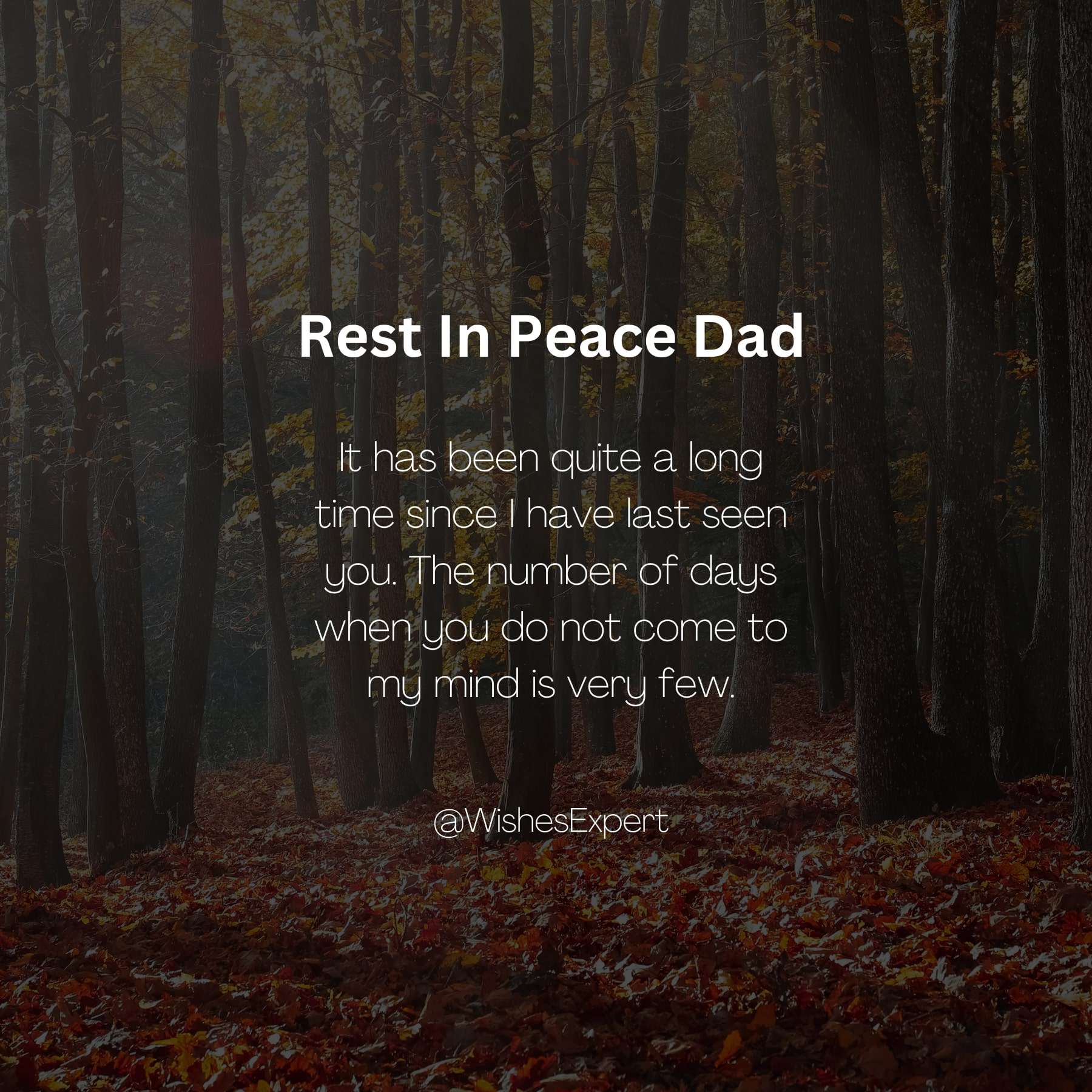 5-year-Death-Anniversary-Quotes-For-Dad